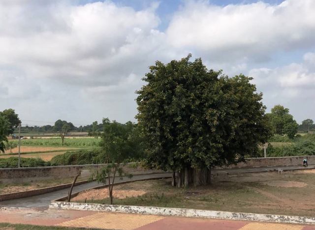 WhatsApp Image 2017-09-24 at 12.24.19 AM.jpeg